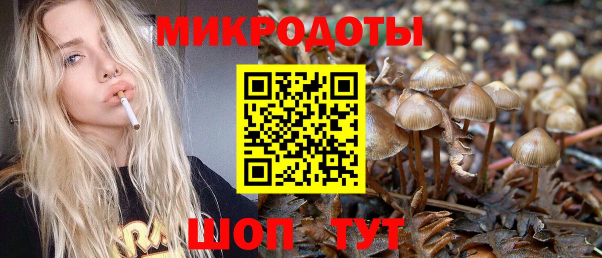 Псилоцибиновые грибы мицелий  Вход с VPN  Алапаевск 